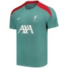 Officiële Voetbalshirt Liverpool Special 2024-25 - Heren